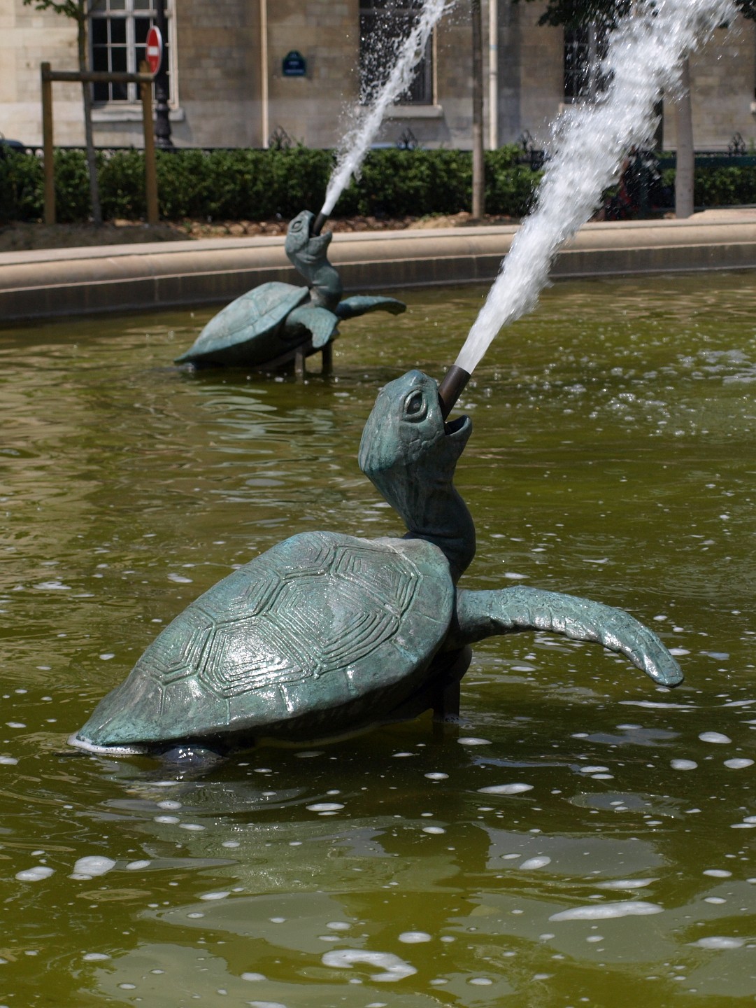 Turtles Spraying Water